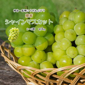 VC}XJbg  }XJbg Q ɑEܖԂǂ 1kg 2`3[  N[