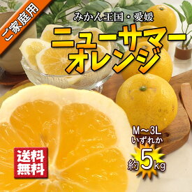 日向夏 家庭用 ニューサマーオレンジ 愛媛県産 小夏 春柑橘 中の綿まで食べてください M～3L 約5kg 送料無料