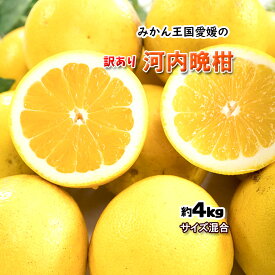 河内晩柑 訳あり 愛媛県産 和製グレープフルーツ ジューシーオレンジ サイズ混合 不揃い 4kg 送料無料