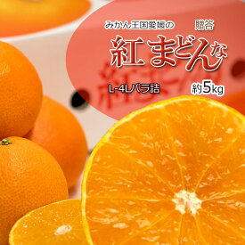 紅まどんな 贈答 みかん べにまどんな L-4L 約5kg バラ詰め 送料無料
