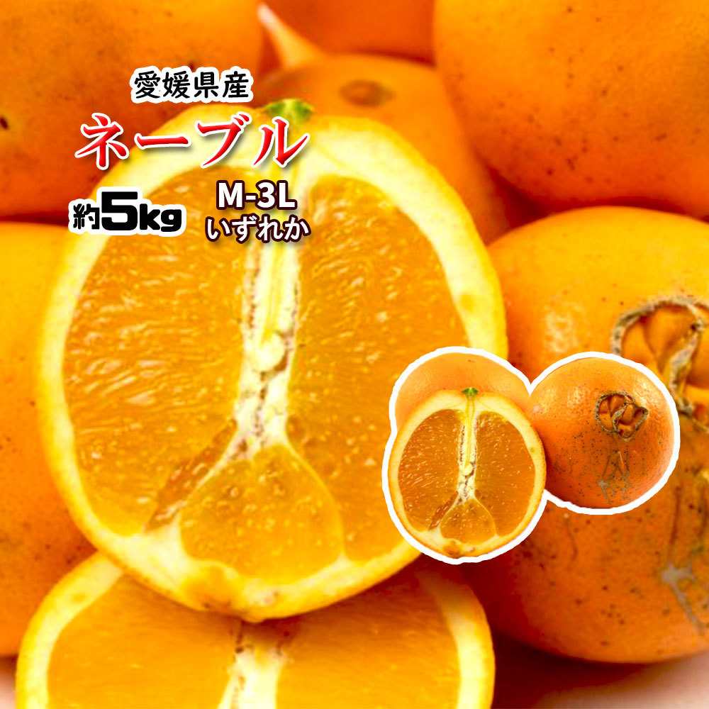 ネーブル オレンジ
