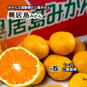 ݂ ݂̓ ݂͂܂ QY Y ƒp 2S`2L 5kg 