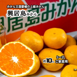 �������݂��� �݂���̓����� ���������݂�������͂��������܂� ���Q���Y �������Y �ƒ�p 2S�`2L ��10kg ��������