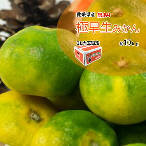 ɑ݂ ɑ QY o ݂ 2Lȏ 10kg  