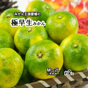 ɑ݂ ɑ ݂ QY o 2kg M`2L  V 