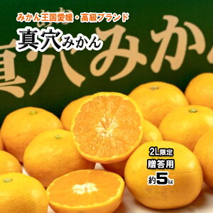 みかん 真穴みかん 贈答 真穴 2L サイズ限定 約5kg 送料無料
