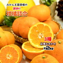 柑橘 訳あり 3種 詰め合わせ 福袋 愛媛県産 箱買い 約2kg 送料無料