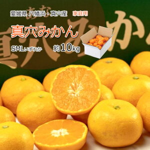 ^݂ ƒp ݂ ^ 10kg SML ꂩ 