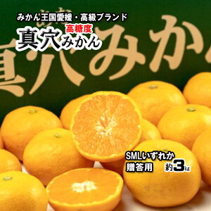 ݂ ^݂ p ^ S M L ꂩ 3kg 