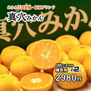 ݂ ^݂ p ^ S M L ꂩ 2kg 