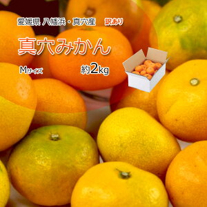 ݂ ^݂ 󂠂 ^ MTCY 2kg 