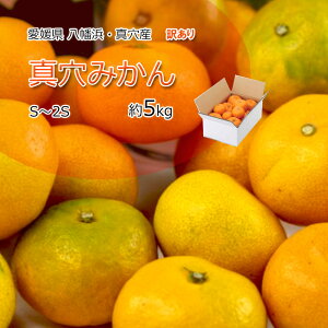 ݂ ^݂ 󂠂 ^ S-2S ʌI 5kg 