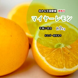 マイヤーレモン 檸檬 愛媛県産 訳あり 不揃い 約2kg 送料無料