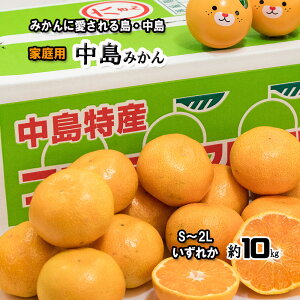 ݂  ݂  ƒp Q݂  10kg S`2L ꂩ B݂