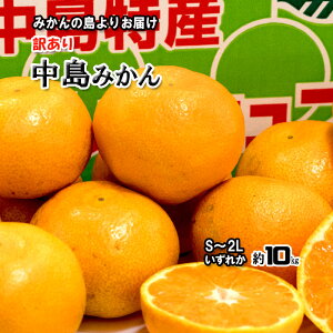 ݂  ݂ 󂠂  󂠂݂ Q݂  10kg S`2L ꂩ B݂