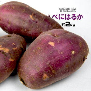 g͂邩 tY 錧Y ܂ 2kg  M`3L