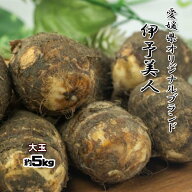 伊予美人 里芋 愛媛県産 大玉 サトイモ 約5kg L-2L 送料無料 箱買い 野菜