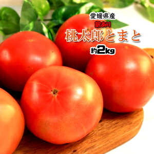 桃太郎トマト 愛媛県産 桃太郎とまと トマト とまと 送料無料 約2kg 訳あり