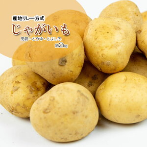 Ⴊ Yn[   2kg  S-3L ꂩ j fW} Ƃ Ƃ悵 