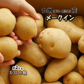 メークイン 九州産 じゃがいも 約2kg 小粒 S-3S 送料無料 長崎 鹿児島