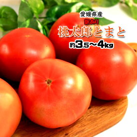 桃太郎トマト 愛媛県産 桃太郎とまと トマト とまと 送料無料 約3.5〜4kg 訳あり