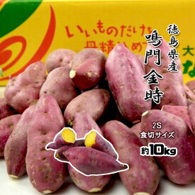 鳴門金時 食べきりサイズ 2Sサイズ 徳島県産 なると金時 金時芋 さつまいも 10kg 送料無料