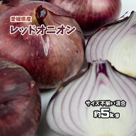 レッドオニオン 赤玉ねぎ たまねぎ タマネギ 玉葱 玉ねぎ 約5kg 愛媛県産 送料無料