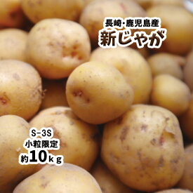 新じゃが じゃがいも 長崎県 鹿児島県 芋 いも 約10kg 送料無料 S-3S 小粒 男爵 とうや とよしろ他