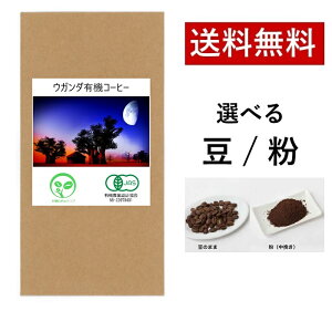 L@CoffeeNu EK_ L@I[KjbNR[q[   @I[KjbN