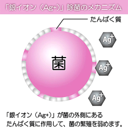 銀イオン指の間ソックス3組6枚