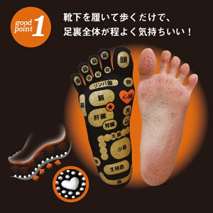 両面足つぼ5本指ソックス【婦人サイズ】