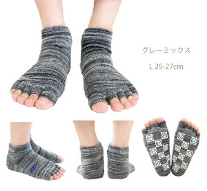 ׂX R{ wȂ 5{w \bNX { T_ LO v[g C fB[X Y wʂ  Ȃ  JrT\bNX K\bNX I[vgD