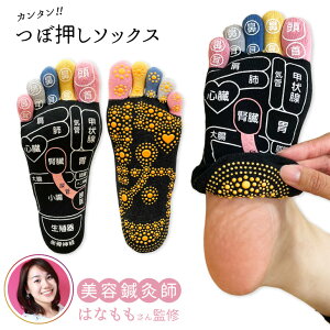 ͂ȂďC   ܖ{w \bNX 22-25cm 25-27cm fB[X wl Y am { g  c{ ԊO c{C ڌC ډ c{ 5{w 5{w\bNX 