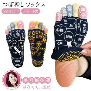 ͂ȂďC   ܖ{w \bNX 22-25cm 25-27cm fB[X wl Y am { g  c{ ԊO c{C ڌC ډ c{ 5{w 5{w\bNX 