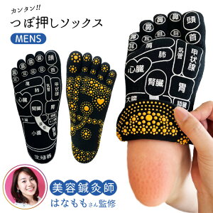 ͂ȂďC   ܖ{w \bNX 22-25cm 25-27cm fB[X wl Y am { g  c{ ԊO c{C ڌC ډ c{ 5{w 5{w\bNX 