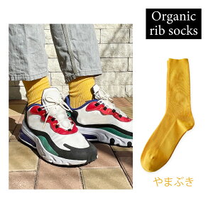 I[KjbN u \bNX 25-27cm lC   LO C   Vv VvH n   킢  am Y j jp Xj[J