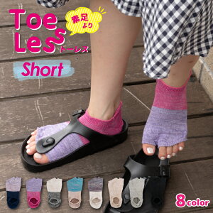 g[X V[g { C 5{w ܖ{w wȂ I[vgD JrT\bNX fB[X  킢  Rbg  l  T_pC V[g T_\bN