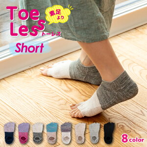 g[X V[g { C 5{w ܖ{w wȂ I[vgD JrT\bNX fB[X  킢  Rbg  l  T_pC V[g T_\bN