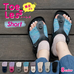 g[X V[g { C 5{w ܖ{w wȂ I[vgD JrT\bNX fB[X  킢  Rbg  l  T_pC V[g T_\bN