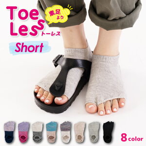 y 10%OFF X[p[Z[  z g[X V[g { C 5{w ܖ{w wȂ I[vgD JrT\bNX fB[X  킢  Rbg  l  T_p