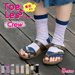 g[X N[ { C 5{w ܖ{w wȂ wʂ ܐ Ȃ I[vgD gD[X JrT JrT\bNX fB[X  Ȃ  Rbg  l  ėp {[_