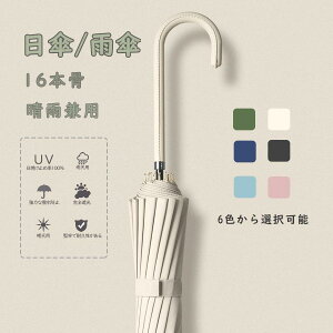 P fB[X P  SՌ ՔM Jp JP 16{   ϋ 傫 y uvJbh X|[c a g₷ q ^b`