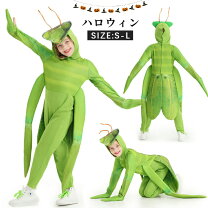 楽天市場】昆虫 帽子（コスプレ・変装・仮装｜ホビー）の通販