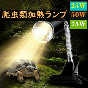 �J���p ���M�����v �z���_�[�� ঒��ރ��C�g �N���b�v�X�^���h ঒��ރ��C�g �N���b�v�X�^���h �����ٗp �����ޗp �����v�g�J�Q�����v ���x�����\ �d��1�_���܂� ��������