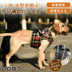 ybg s⏕n[lX  n[lX  Vp s⏕n[lX PApi ^ ^ ^ VɓKp ybgpi ybgObY pi pi