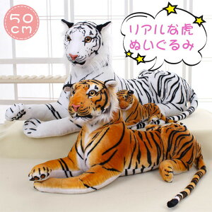 �Ղ̂ʂ������ �g�� �Ƃ� ���A�� �{�� �Ƃ� �Ղ̂ʂ������ �M�t�g ������ 50cm �������� �v���[���g �q�ǂ� �L�b�Y �M�t�g ���ǂ��̓� �q�� ���̎q �j�̎q ���� �ӂ�ӂ� ���킢�� ���ǂ���