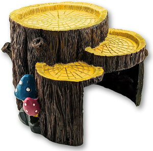 ��঍H�[ ���N�K�� �V�F���^�[ ��5��PV���f�B�A�ďC ���T �T ���� ঒��� ���� ��^ �B���