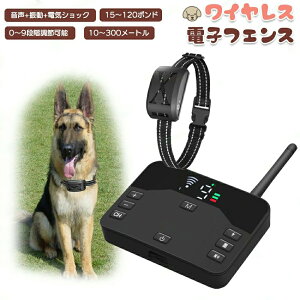 ybg dqtFX hbOtFX ybgtFX o[`hbOtFX ih~ CX ͈1000[g  g[jO ybg S  ϗp @\ 3̃[h yb