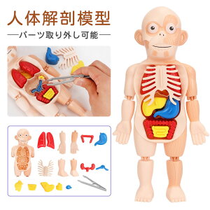 �����p�Y�� ���� ���� ���� �N���X�}�X ���� ��U�w ���� �p�[�c���O���\ �l�̉�U�w���f�� �X�^���h �m��ߋ� �a���� �q�� �v���[���g �M�t�g �l�̖͌^ �L�b�Y ��������