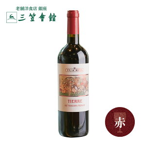 gDAE[^ eB[EGb 2022 ԃC C^A Mtg C  䒆  v[g  O} C TR  ʌ |Cg